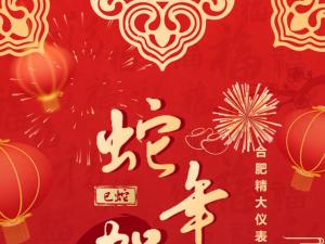 合肥精大儀表2025春節(jié)表彰暨聯(lián)歡會(huì)：回顧精彩，展望